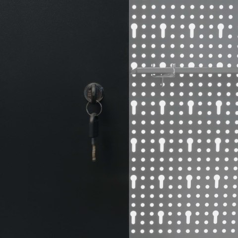  Ścienna szafka narzędziowa, metalowa, szaro-czarna Lumarko!