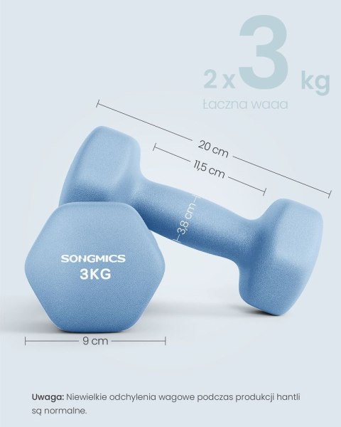Hantle do codziennych ćwiczeń 2 x 3 kg blassblau